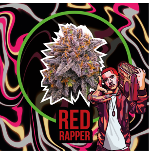 Red Rapper Auto - Delirium Seeds