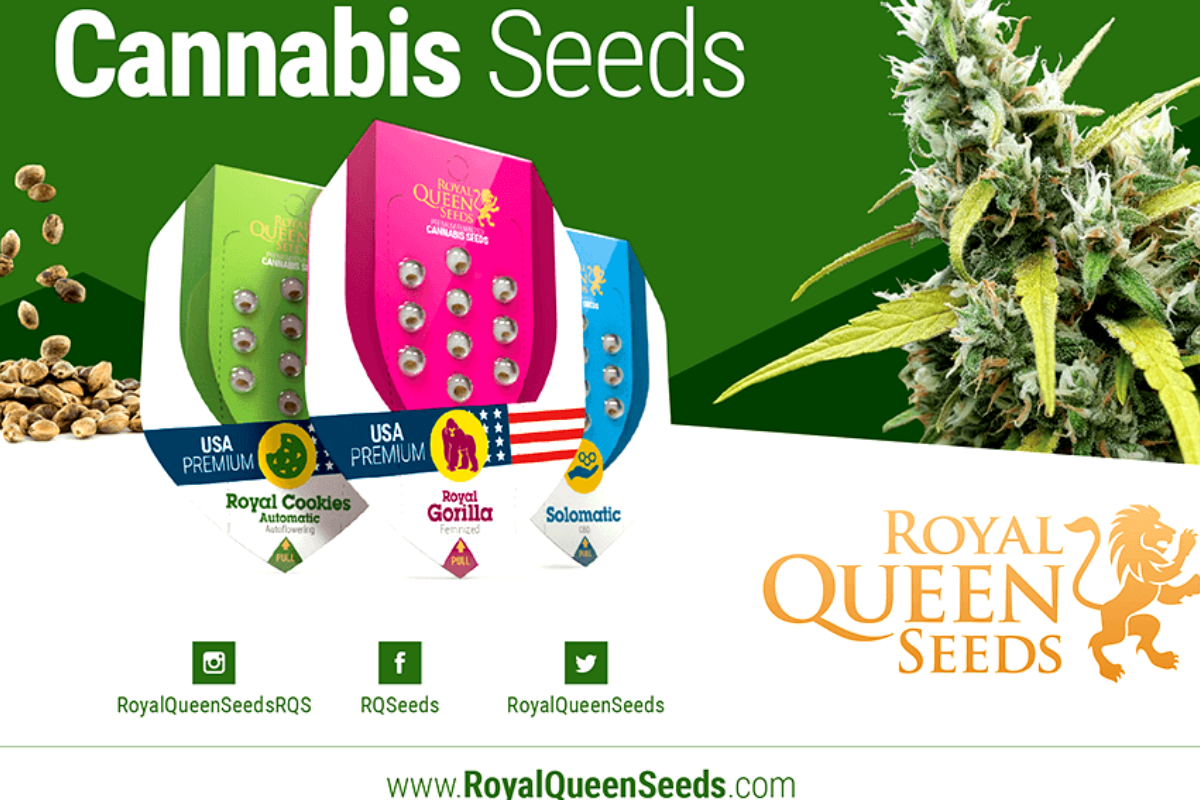 Royal queen seeds catálogo